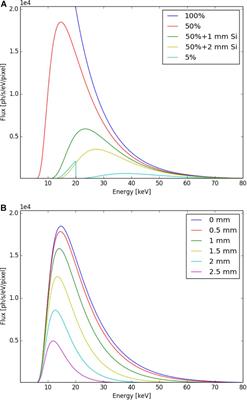 Time Resolved in situ X-Ray Tomographic Microscopy Unraveling Dynamic Processes in Geologic Systems